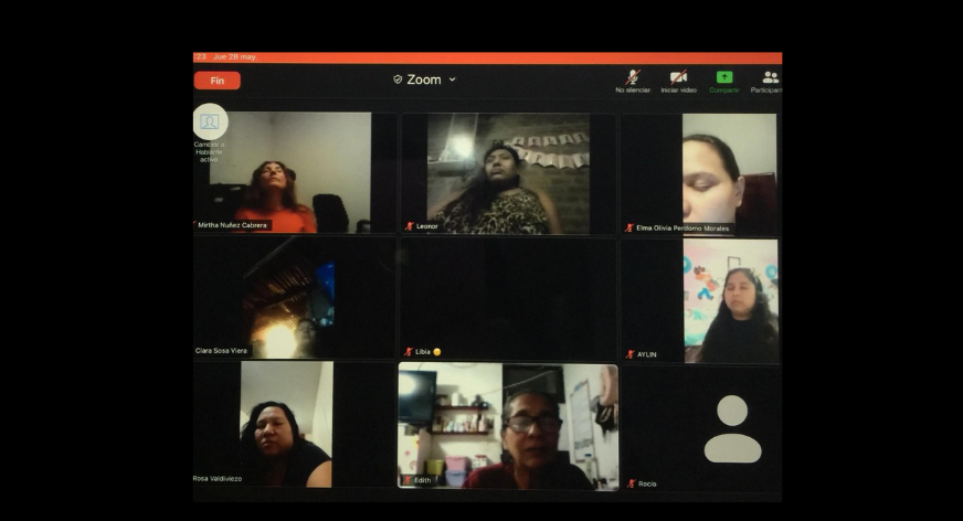 Participantes de taller vía ZOOM